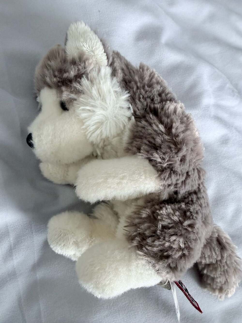 Douglas Cuddle Toys Little Lil' Baby Husky Wolf Puppy Dog Plush Stuffed Animal 8